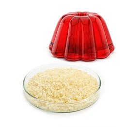 Food Grade Halal Gelatin Powders CAS 9000-70-8
